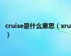 cruise是什么意思（xrui）
