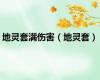 地灵套满伤害（地灵套）