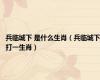 兵临城下 是什么生肖（兵临城下打一生肖）