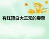 有红顶白大三元的粤菜