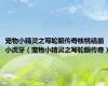 宠物小精灵之写轮眼传奇核桃磕崩小虎牙（宠物小精灵之写轮眼传奇）