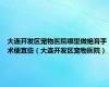 大连开发区宠物医院哪里做绝育手术便宜些（大连开发区宠物医院）
