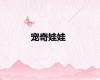 宠奇娃娃
