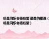 明星同乐会杨钰莹 最美的相遇（明星同乐会杨钰莹）