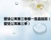 爱情公寓第三季哪一集最搞笑（爱情公寓第三季）