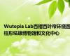 Wutopia Lab百褶百叶帘环绕圆柱形珐琅博物馆和文化中心
