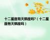 十二星座有天鹅座吗?（十二星座有天鹅座吗）