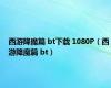 西游降魔篇 bt下载 1080P（西游降魔篇 bt）