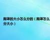胸罩的大小怎么分的（胸罩怎么分大小）