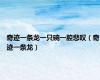 奇迹一条龙一只碗一腔悲叹（奇迹一条龙）