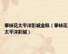 攀枝花太平洋影城金瓯（攀枝花太平洋影城）