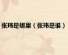 张玮是哪里（张玮是谁）