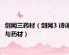 剑网三药材（剑网3 诗词与药材）