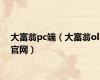 大富翁pc端（大富翁ol官网）