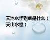 天池水怪到底是什么（天山水怪）
