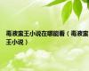 毒液蛮王小说在哪能看（毒液蛮王小说）