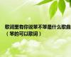 歌词里有你说笨不笨是什么歌曲（笨的可以歌词）