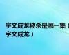 宇文成龙被杀是哪一集（宇文成龙）
