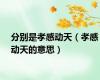 分别是孝感动天（孝感动天的意思）