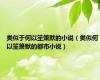 类似于何以笙箫默的小说（类似何以笙箫默的都市小说）