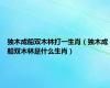 独木成船双木林打一生肖（独木成船双木林是什么生肖）