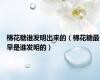 棉花糖谁发明出来的（棉花糖最早是谁发明的）