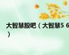 大智慧股吧（大智慧5 6）