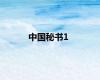 中国秘书1