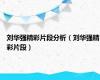 刘华强精彩片段分析（刘华强精彩片段）