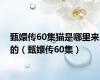 甄嬛传60集猫是哪里来的（甄嬛传60集）
