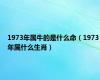 1973年属牛的是什么命（1973年属什么生肖）