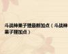 斗战神果子狸最新加点（斗战神果子狸加点）