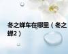 冬之蝉车在哪里（冬之蝉2）