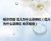 哈尔巴提 花儿为什么这样红（花儿为什么这样红 帕尔哈提）
