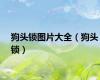 狗头锁图片大全（狗头锁）