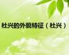 杜兴的外貌特征（杜兴）