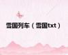 雪国列车（雪国txt）