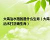 大禹治水指的是什么生肖（大禹治水打正确生肖）