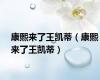 康熙来了王凯蒂（康熙来了王凯蒂）