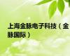 上海金脉电子科技（金脉国际）