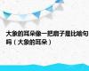 大象的耳朵像一把扇子是比喻句吗（大象的耳朵）