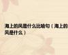 海上的风是什么比喻句（海上的风是什么）