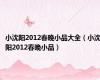 小沈阳2012春晚小品大全（小沈阳2012春晚小品）