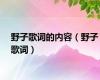 野子歌词的内容（野子歌词）