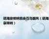 胡海泉唢呐独奏百鸟朝凤（胡海泉唢呐）