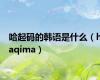 哈起码的韩语是什么（haqima）