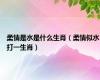 柔情是水是什么生肖（柔情似水打一生肖）