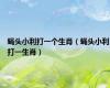 蝇头小利打一个生肖（蝇头小利打一生肖）