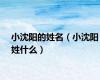 小沈阳的姓名（小沈阳姓什么）