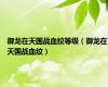 御龙在天国战血纹等级（御龙在天国战血纹）